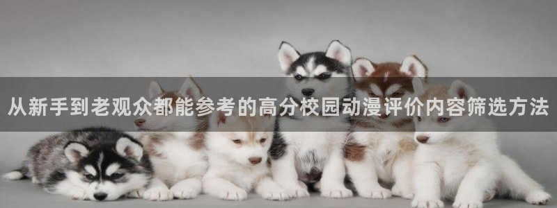 汗汗漫画高分排行榜：从新手到老观众都能参考的高分校园动漫评价内容筛选方法配图