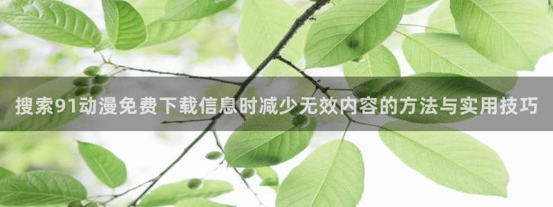 汗汗漫画推荐前十:搜索91动漫免费下载信息时减少无效内容的方法与实用技巧配图