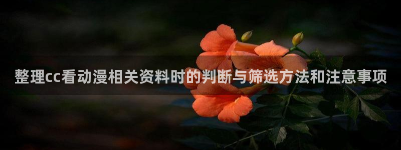 汗汗漫画在线:整理cc看动漫相关资料时的判断与筛选方法和注意事项配图