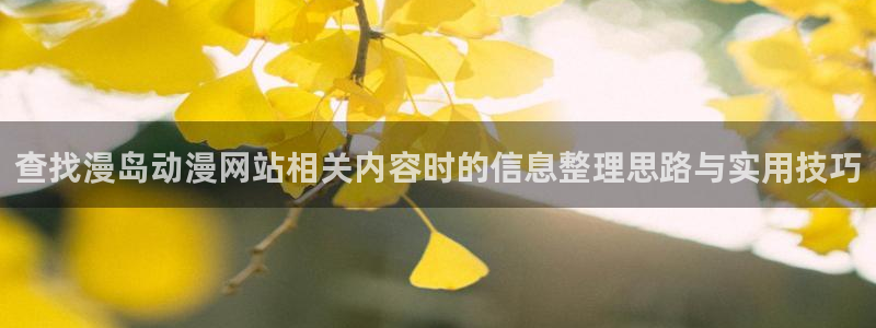 2026汗汗漫画热门:查找漫岛动漫网站相关内容时的信息整理思路与实用技巧配图