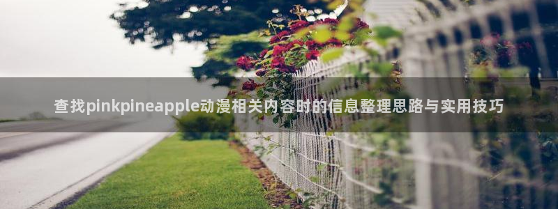 汗汗漫画阅读排行榜：查找pinkpineapple动漫相关内容时的信息整理思路与实用技巧配图
